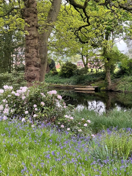 The Pond House